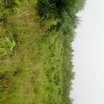 Des parcelles de 408m² dans la commune d&rsquo;IFANGNI