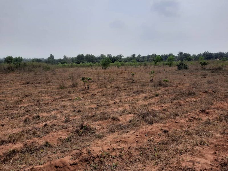 Des parcelles de 408m² dans la commune d&rsquo;IFANGNI