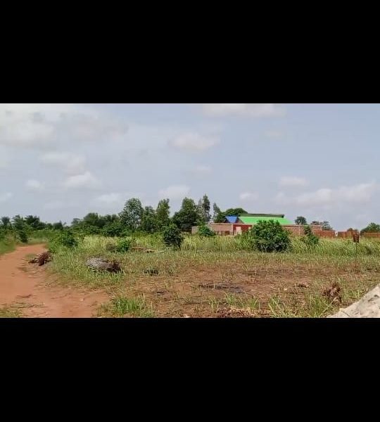 Des parcelles de 350m² à hervié